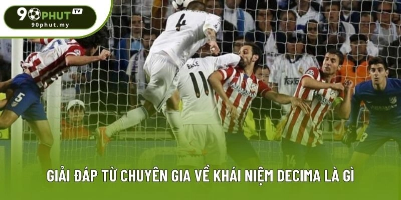 Giải đáp từ chuyên gia về khái niệm Decima là gì Giải đáp từ chuyên gia về khái niệm Decima là gì