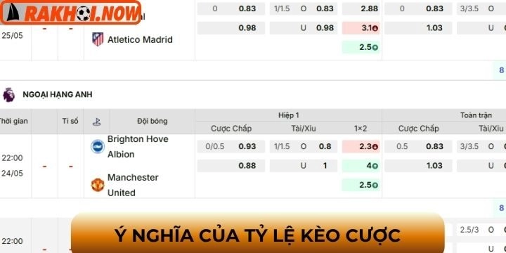Ý nghĩa của các chỉ số tỷ lệ cược