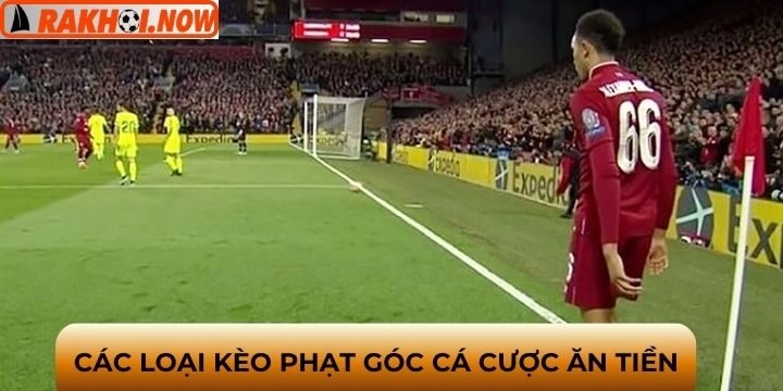 Tổng quan một số loại kèo phạt góc tại nhà cái