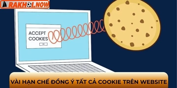 Nhược điểm khi đồng ý tất cả cookie trên website