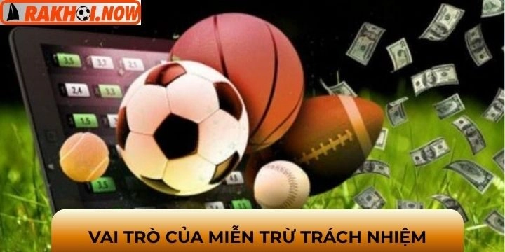 Lý do tại sao cần phải miễn trừ trách nhiệm